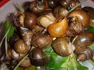 Bún ốc hà nội